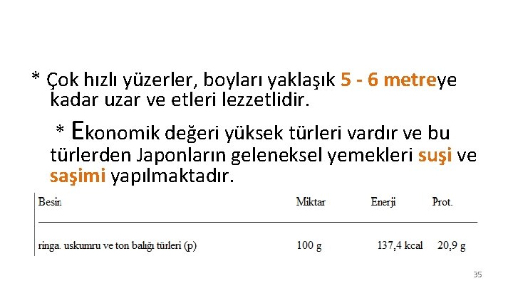 * Çok hızlı yüzerler, boyları yaklaşık 5 - 6 metreye kadar uzar ve etleri