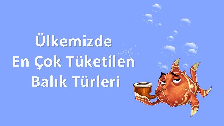 Ülkemizde En Çok Tüketilen Balık Türleri 38 