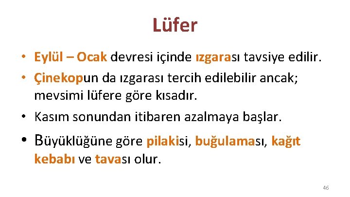 Lüfer • Eylül – Ocak devresi içinde ızgarası tavsiye edilir. • Çinekopun da ızgarası