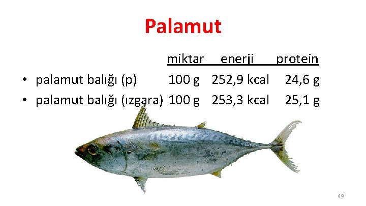 Palamut miktar enerji protein • palamut balığı (p) 100 g 252, 9 kcal 24,