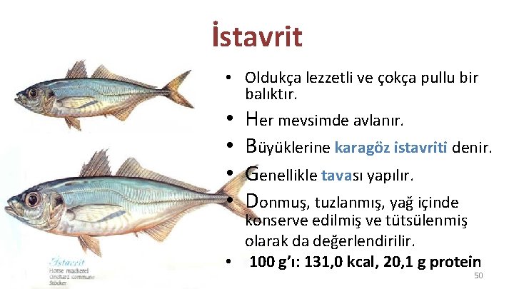 İstavrit • Oldukça lezzetli ve çokça pullu bir balıktır. • Her mevsimde avlanır. •