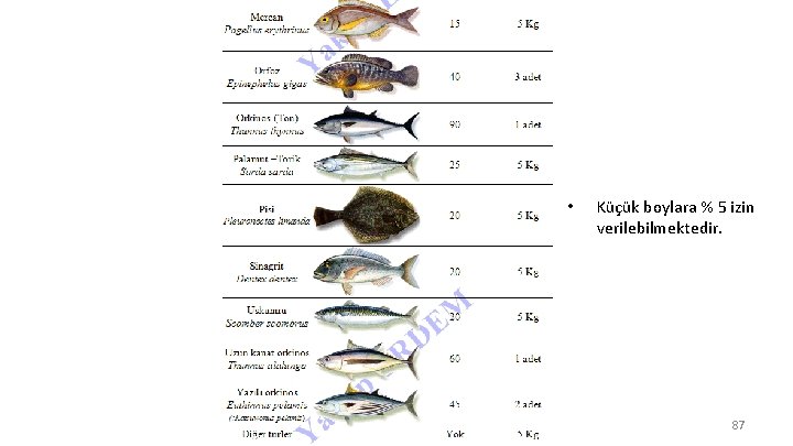  • Küçük boylara % 5 izin verilebilmektedir. 87 
