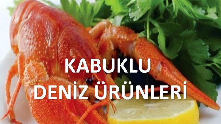 KABUKLU DENİZ ÜRÜNLERİ 89 