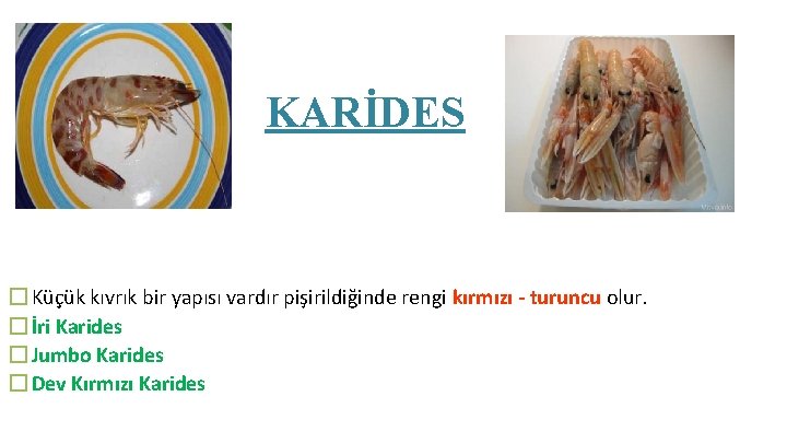 KARİDES � Küçük kıvrık bir yapısı vardır pişirildiğinde rengi kırmızı - turuncu olur. �