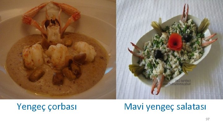 Yengeç çorbası Mavi yengeç salatası 97 