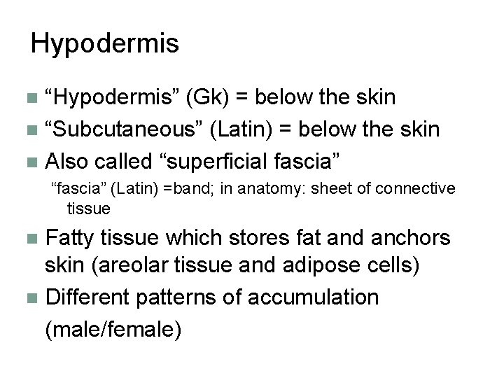 Hypodermis “Hypodermis” (Gk) = below the skin n “Subcutaneous” (Latin) = below the skin