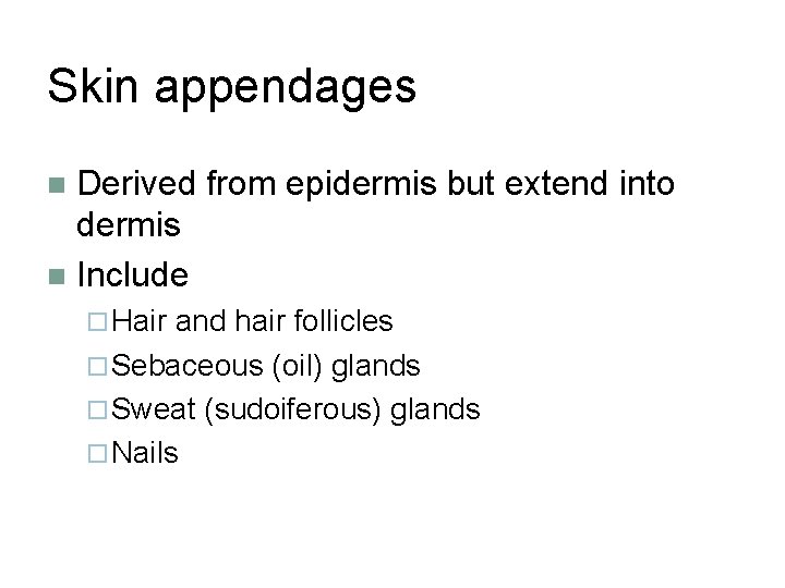 Skin appendages Derived from epidermis but extend into dermis n Include n ¨ Hair