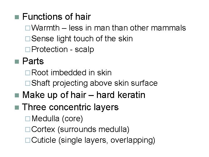 n Functions of hair ¨ Warmth – less in man than other mammals ¨