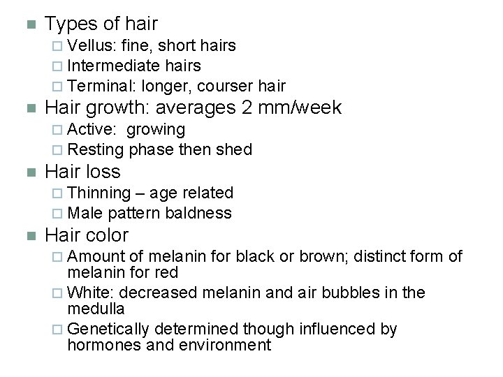 n Types of hair ¨ Vellus: fine, short hairs ¨ Intermediate hairs ¨ Terminal:
