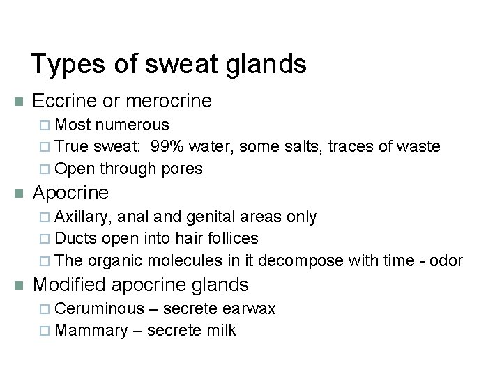 Types of sweat glands n Eccrine or merocrine ¨ Most numerous ¨ True sweat: