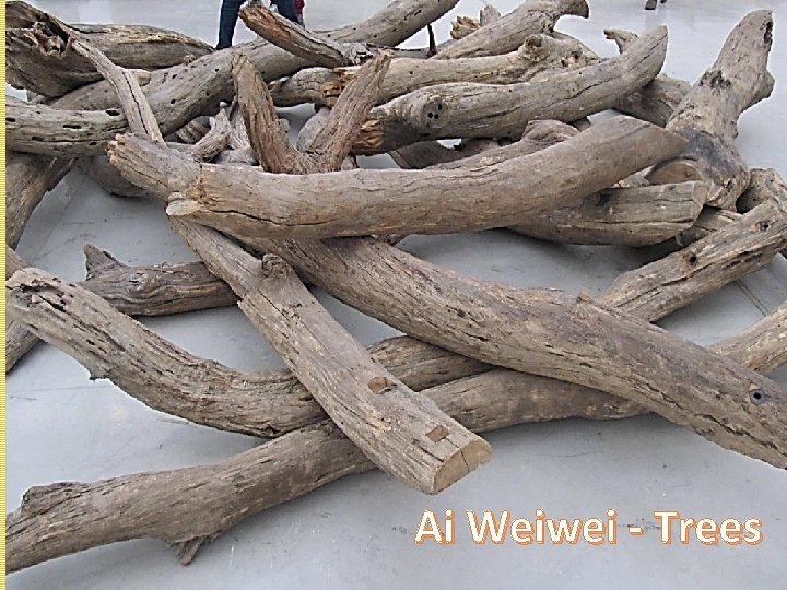 Ai Weiwei - Trees 