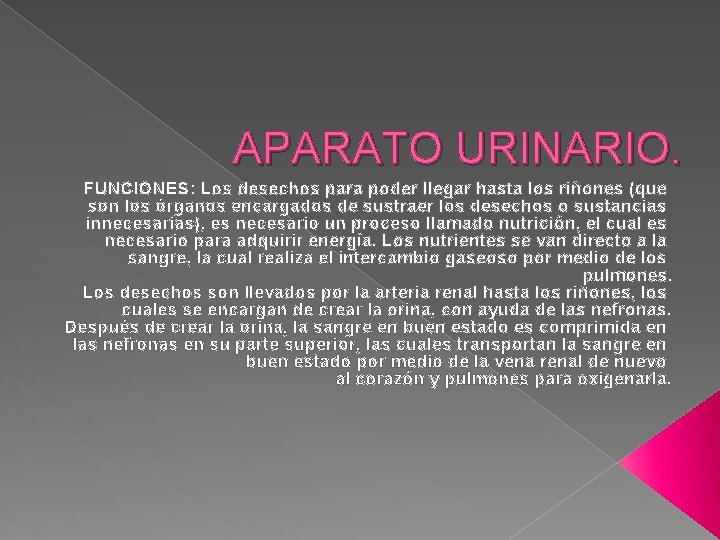 APARATO URINARIO. FUNCIONES: Los desechos para poder llegar hasta los riñones (que son los