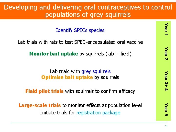 Developing and delivering oral contraceptives to control populations of grey squirrels Year 1 Identify