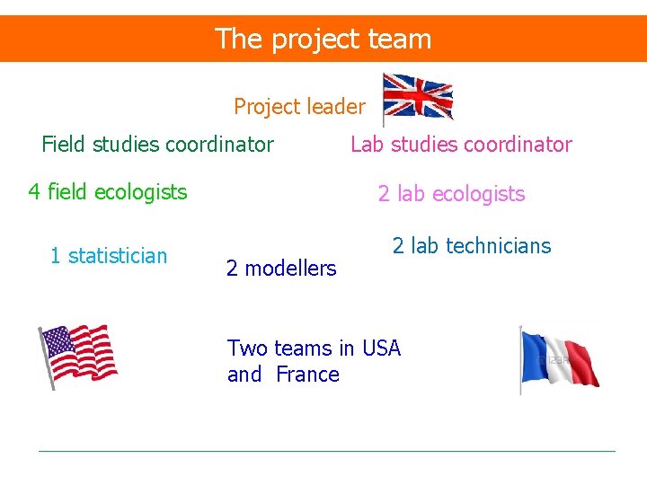 The project team Project leader Field studies coordinator 4 field ecologists 1 statistician Lab