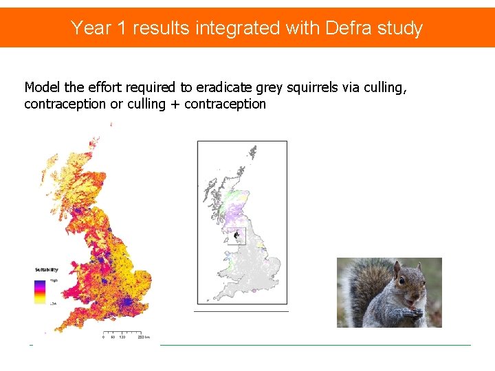 Year 1 results integrated with Defra study Model the effort required to eradicate grey