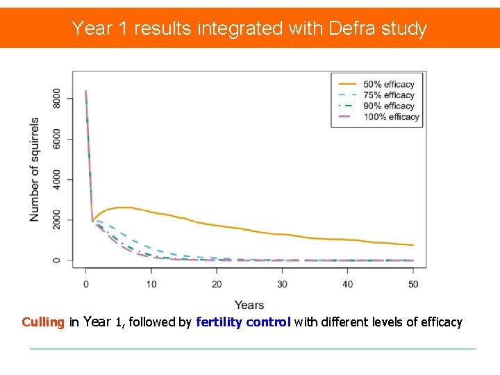 Year 1 results integrated with Defra study Culling in Year 1, followed by fertility