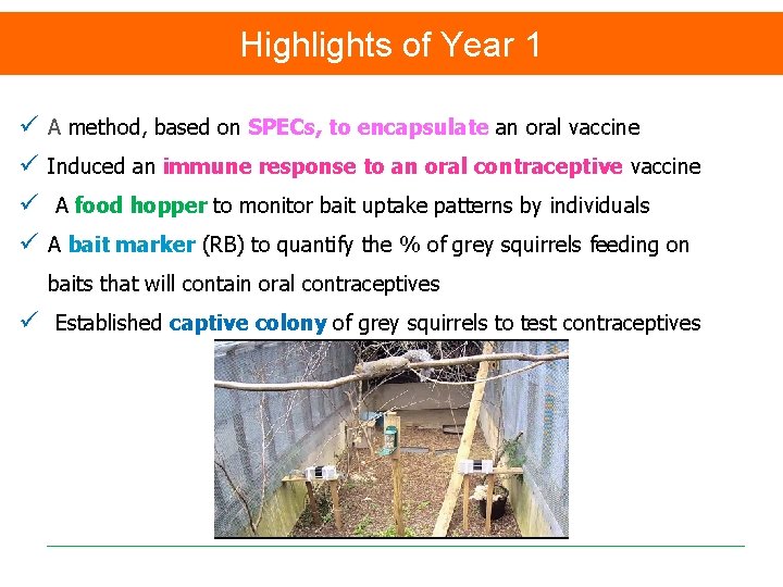 Highlights of Year 1 ü ü A method, based on SPECs, to encapsulate an