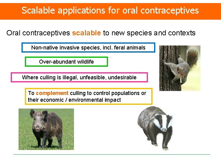 Scalable applications for oral contraceptives Oral contraceptives scalable to new species and contexts Non-native