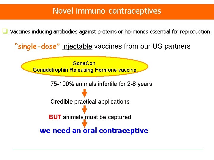 Novel immuno-contraceptives q Vaccines inducing antibodies against proteins or hormones essential for reproduction “single-dose”