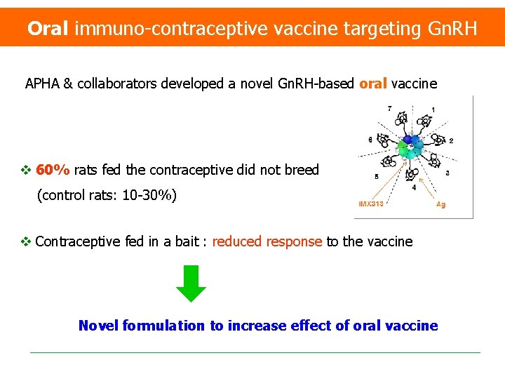 Oral immuno-contraceptive vaccine targeting Gn. RH Biology, behaviour, population dynamics APHA & collaborators developed
