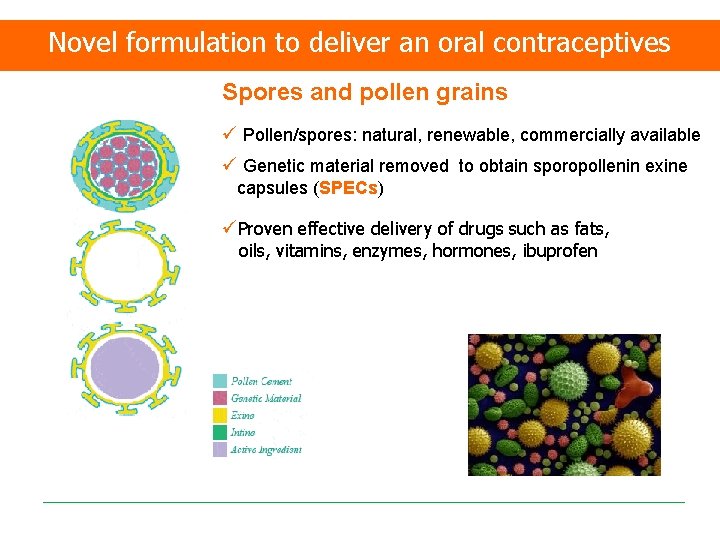 Novel formulation to deliver an oral contraceptives Spores and pollen grains ü Pollen/spores: natural,