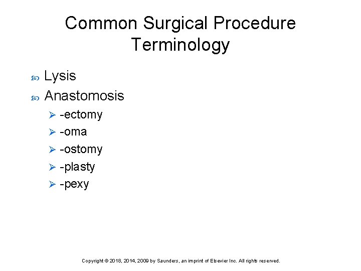 Common Surgical Procedure Terminology Lysis Anastomosis -ectomy Ø -oma Ø -ostomy Ø -plasty Ø