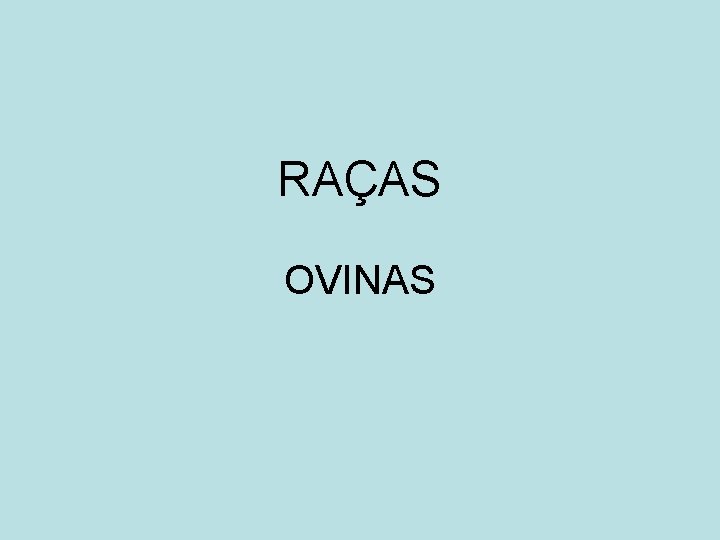 RAÇAS OVINAS 