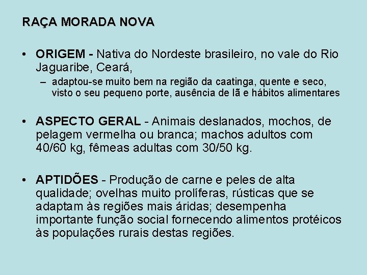 RAÇA MORADA NOVA • ORIGEM - Nativa do Nordeste brasileiro, no vale do Rio