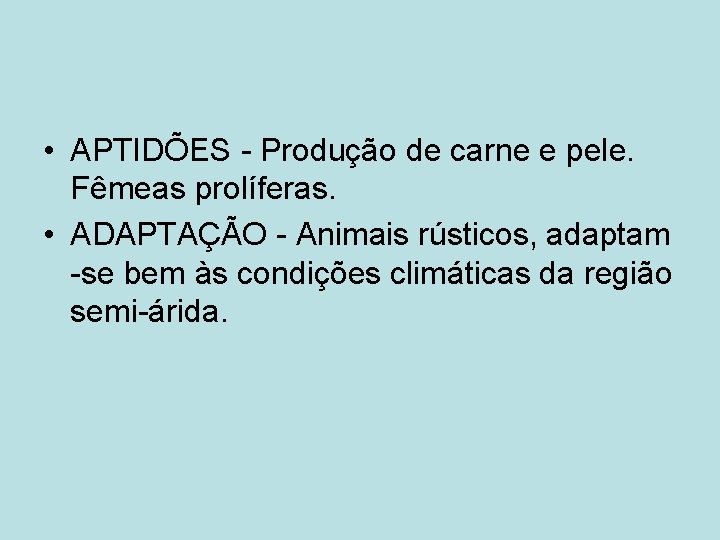  • APTIDÕES - Produção de carne e pele. Fêmeas prolíferas. • ADAPTAÇÃO -