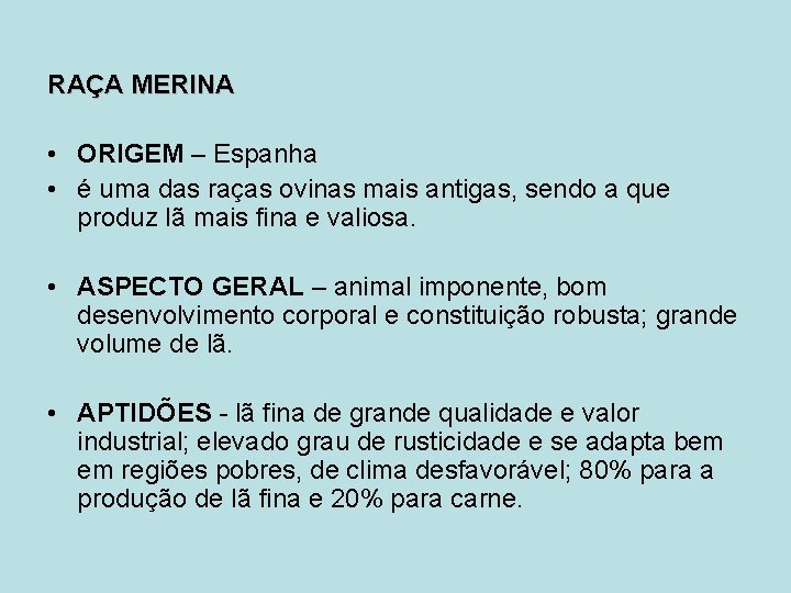 RAÇA MERINA • ORIGEM – Espanha • é uma das raças ovinas mais antigas,