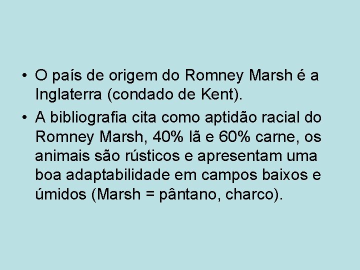  • O país de origem do Romney Marsh é a Inglaterra (condado de