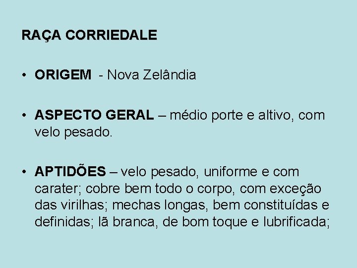 RAÇA CORRIEDALE • ORIGEM - Nova Zelândia • ASPECTO GERAL – médio porte e