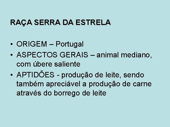 RAÇA SERRA DA ESTRELA • ORIGEM – Portugal • ASPECTOS GERAIS – animal mediano,