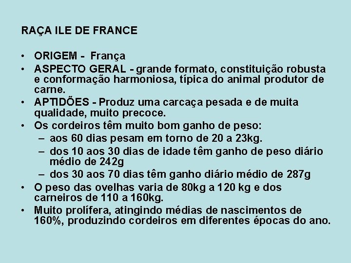 RAÇA ILE DE FRANCE • ORIGEM - França • ASPECTO GERAL - grande formato,