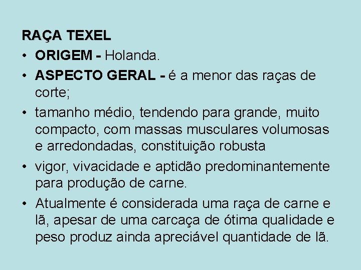 RAÇA TEXEL • ORIGEM - Holanda. • ASPECTO GERAL - é a menor das