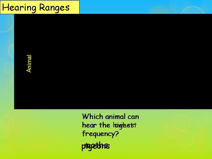 Animal Hearing Ranges Which animal can hear the lowest highest frequency? moths pigeons 