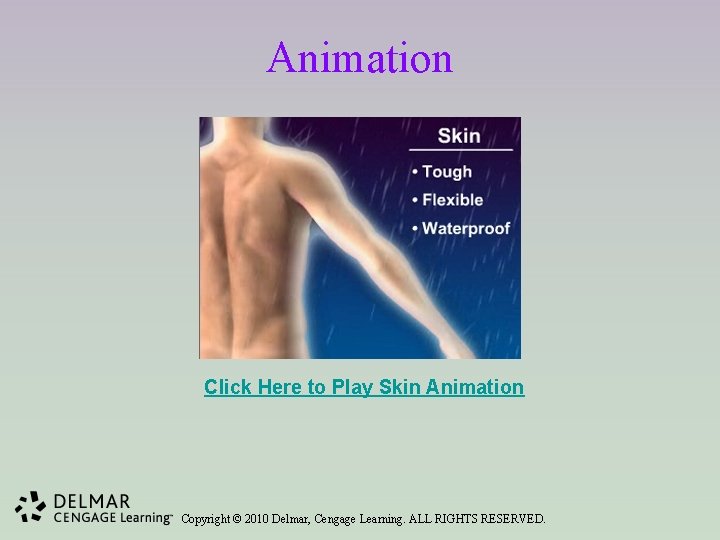 Animation Click Here to Play Skin Animation Copyright © 2010 Delmar, Cengage Learning. ALL