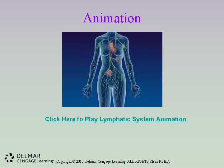 Animation Click Here to Play Lymphatic System Animation Copyright © 2010 Delmar, Cengage Learning.