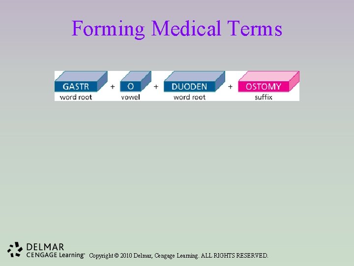 Forming Medical Terms Copyright © 2010 Delmar, Cengage Learning. ALL RIGHTS RESERVED. 