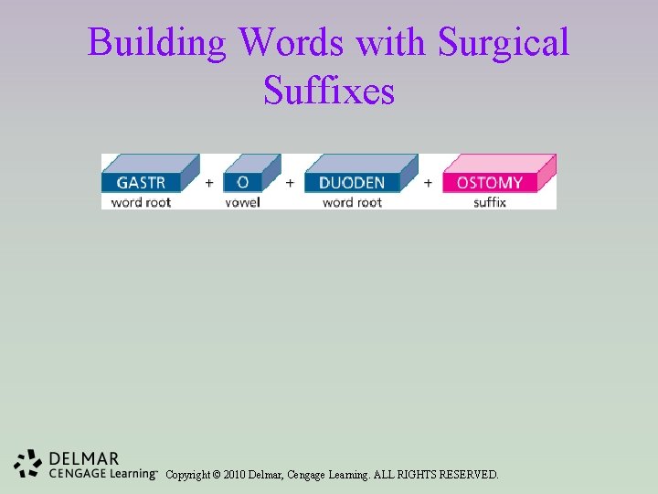 Building Words with Surgical Suffixes Copyright © 2010 Delmar, Cengage Learning. ALL RIGHTS RESERVED.