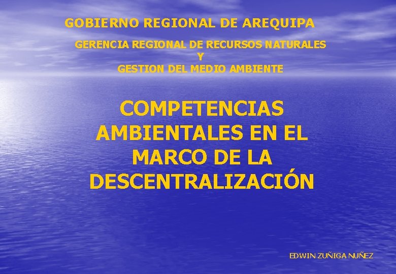 GOBIERNO REGIONAL DE AREQUIPA GERENCIA REGIONAL DE RECURSOS NATURALES Y GESTION DEL MEDIO AMBIENTE