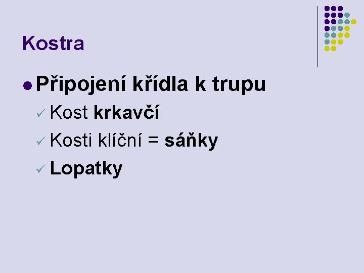 Kostra l Připojení křídla k trupu ü Kost krkavčí ü Kosti klíční = sáňky