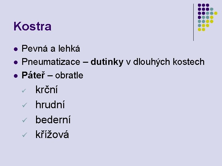 Kostra l l l Pevná a lehká Pneumatizace – dutinky v dlouhých kostech Páteř