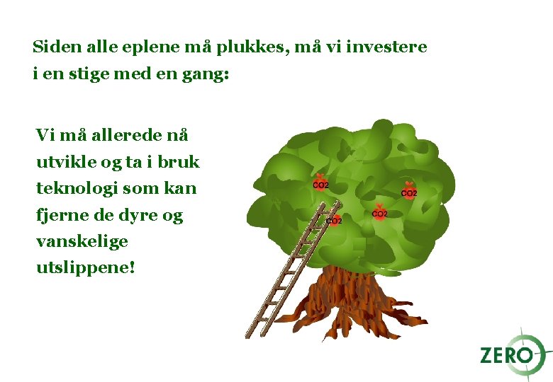 Siden alle eplene må plukkes, må vi investere i en stige med en gang: