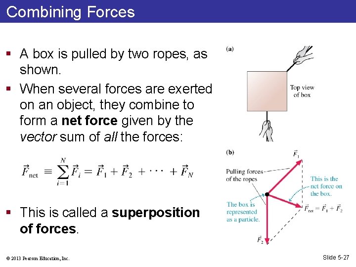 Combining Forces § A box is pulled by two ropes, as shown. § When