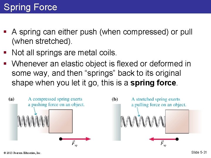 Spring Force § A spring can either push (when compressed) or pull (when stretched).