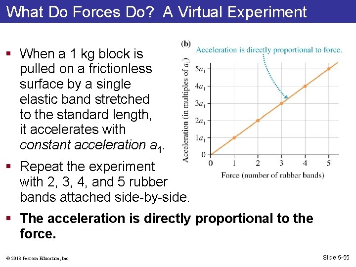 What Do Forces Do? A Virtual Experiment § When a 1 kg block is