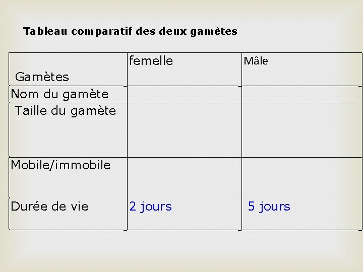 Tableau comparatif des deux gamètes Gamètes Nom du gamète Taille du gamète femelle Mâle