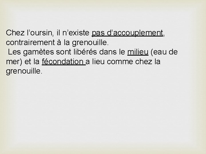 Chez l’oursin, il n’existe pas d’accouplement, contrairement à la grenouille. Les gamètes sont libérés