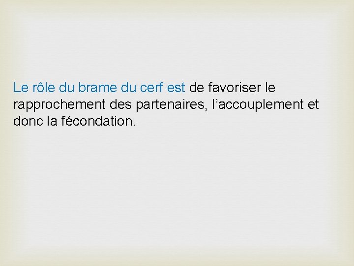 Le rôle du brame du cerf est de favoriser le rapprochement des partenaires, l’accouplement